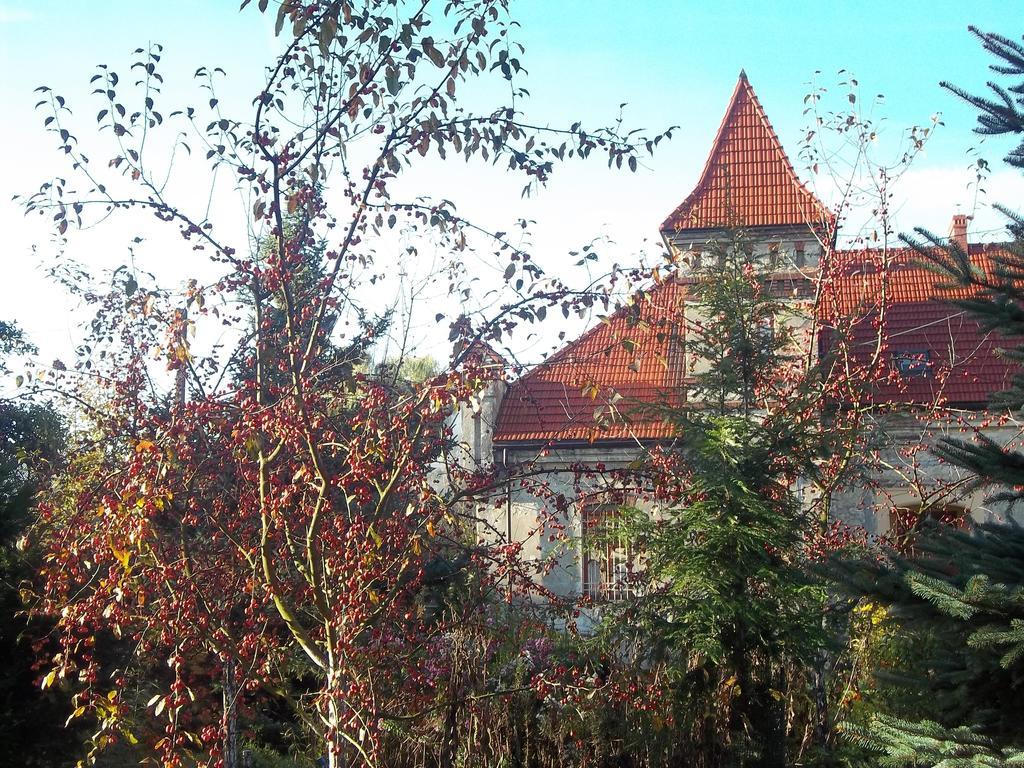 Dwor W Boleniu Villa Exterior photo